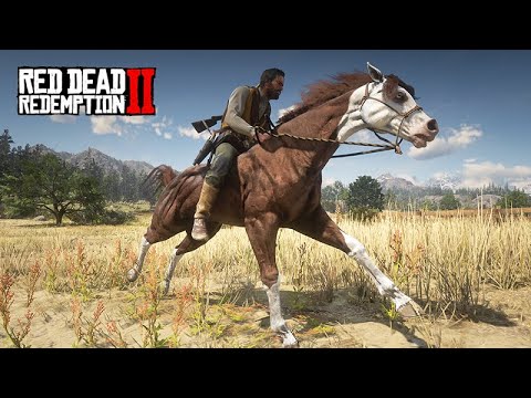 QUARTER HORSE - A great cowboy horse - 10