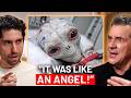 Army Captures Live Alien (Hospital Report Revealed!)
