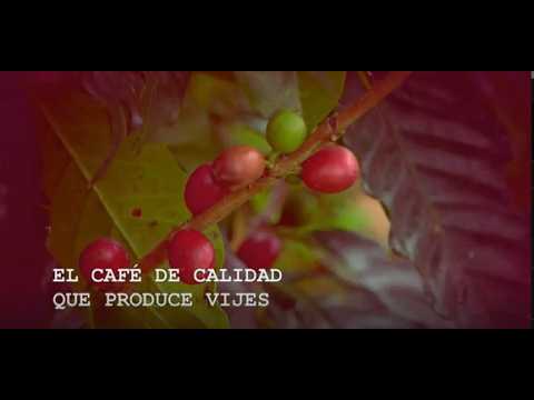 Café de Vijes brilla a nivel mundial con oro en Monde Selection 2026