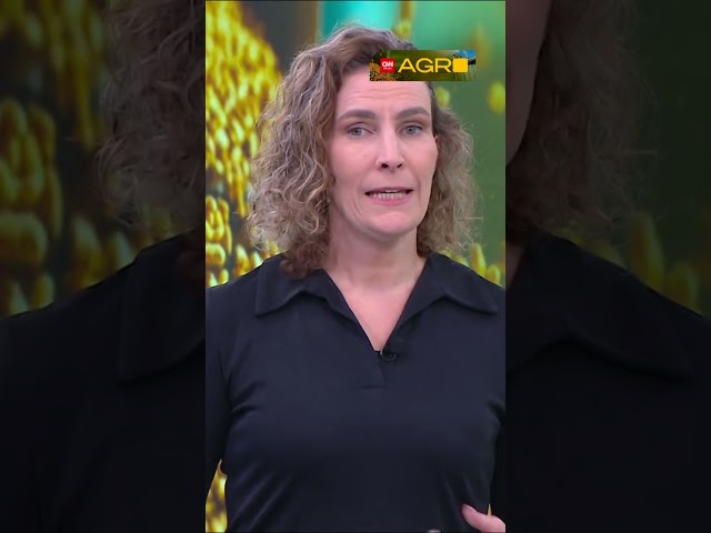 Análise: Recuperação da Raízen, o momento de teste para o império