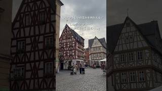 DBチケットを駆使したい!vol3 日帰りマインツ観光vlog🇩🇪 チャンネル登録お願いします🤎#ドイツ #ドイツ旅行 # #海外一人旅 #マインツ