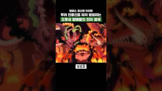 원피스) 무려 천룡인들 마저 벌벌떠는 오로성 할배들의 진짜 정체