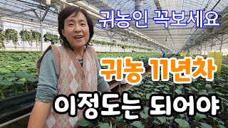 귀농인들 꼭 보세요! 귀농11년차 나는 이렇게 했다