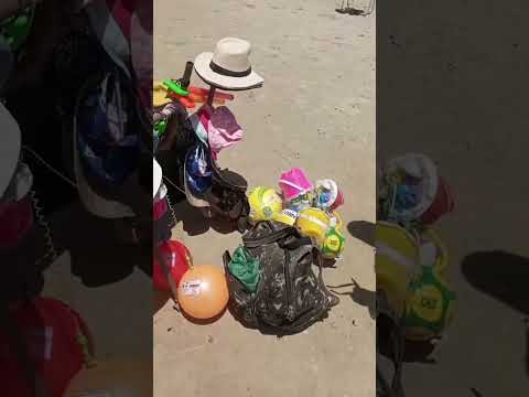 O alecrim da Praia de Ponta Negra Natal RN.