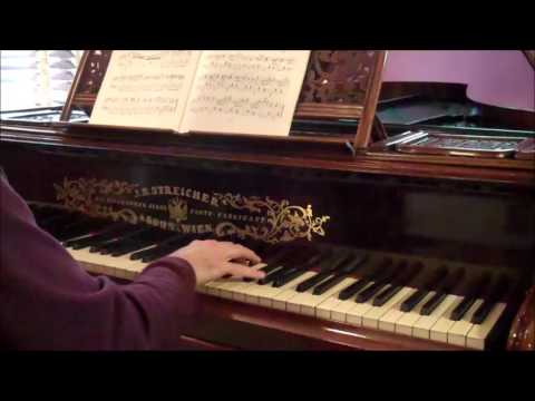 1866 CONCERT GRAND PIANO BY J.B. STREICHER (Vienna) - sold