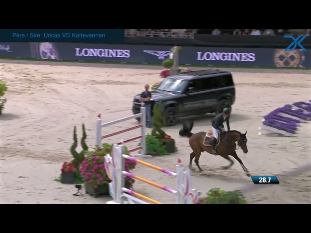 14. Embryo Uricas x Vent du Sud Kerglenn