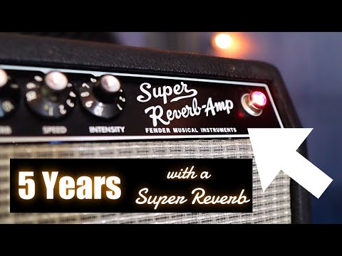 5 Years with a Fender Super Reverb