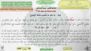 صورة شرح الجامع الكبير : باب ماجاء مايذهب مصمة الرضاع - الحديث 1179 || ماهر ياسين الفحل