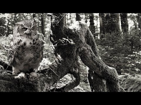 ⚙️Fausto's SoundClub #09 - PODCAST by SOUNDFAUSTO ⚙️