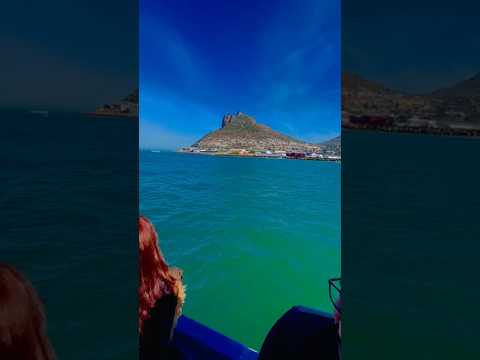 😱Amazing View😍 Cape of good hope South Africa #shorts #short #youtubeshorts #viral #howto #travel