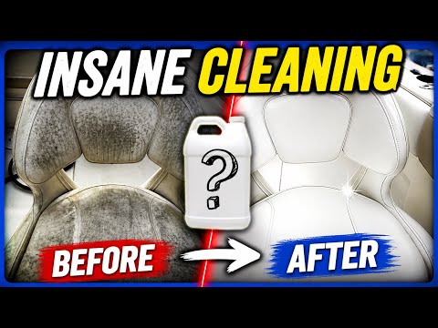 How to Remove Mold & Mildew From Your Boat Seats?