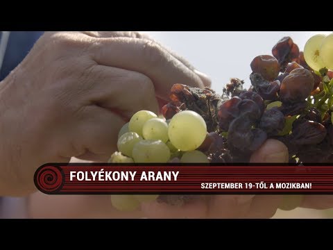 Folyékony arany trailer