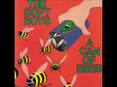 The Soft Boys - A Can Of Bees (full album)