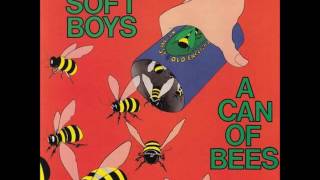 The Soft Boys - A Can Of Bees (full album)