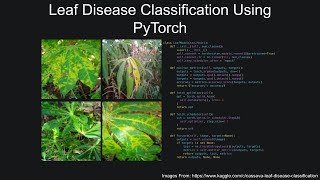 Leaf Disease Classification Using PyTorch