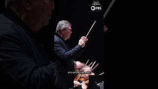 How to Conduct an Orchestra | Palm Beach Symphony
