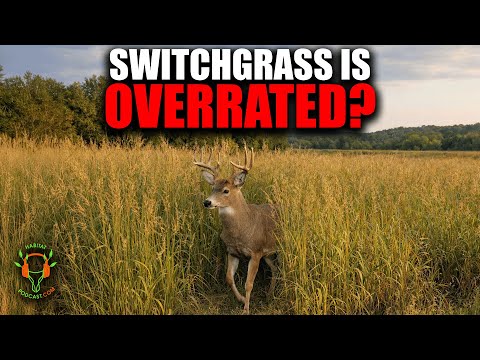 7 Habitat Myths That Are Ruining Deer Properties with Matt Zahl and Corey Franceus