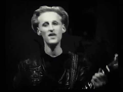 The Wild Swans  - Bringing Home The Ashes (1988)