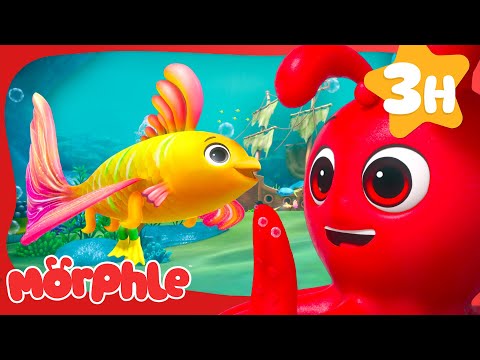 Wishyfish's Ocean Adventure! | Morphle | Magic Kids Cartoon