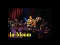 Riot Earth Nirvana In Bloom