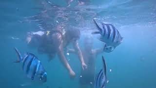 两个超级可爱的中国朋友在芽庄海滩游泳