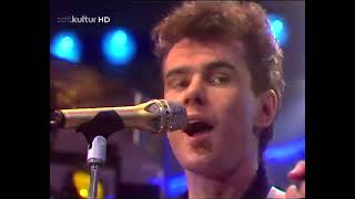 Nik Kershaw - Nobody Knows (live)