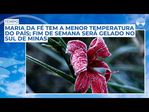 Maria da Fé tem a menor temperatura do país; fim de semana será gelado no Sul de Minas