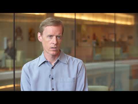 What is the vena cava?