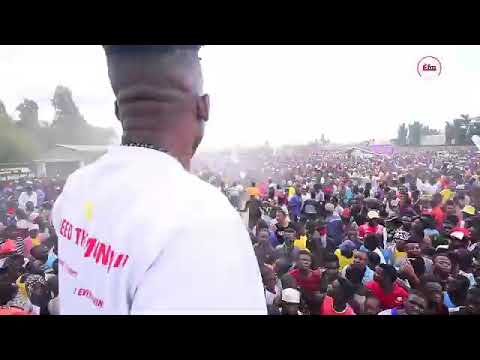 Virus mdudu Kidene watimua vumbi singeri fungamtaa