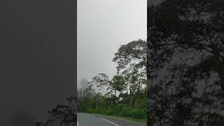 Download lagu DALAN TEMBUS CEMORO SEWU SARANGAN mp3