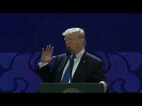 Trump promotes his "America First" vision to leaders at APEC summit