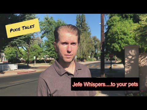 Pixie Tales S2E02 Promo: Jefe Whispers...to your pets