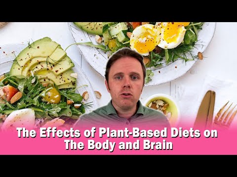 The Effects of Plant-Based Diets on The Body and Brain