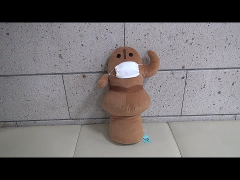 教育学科 本の取り出し方