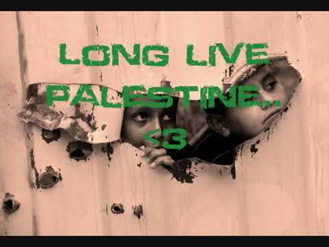 #SongForPalestine Long Live Palestine - Lowkey || Music Lyrics