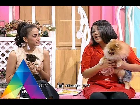 BASA BASI 7 DES 2015 - Cara memelihara Hewan Dengan Benar Part 3/5