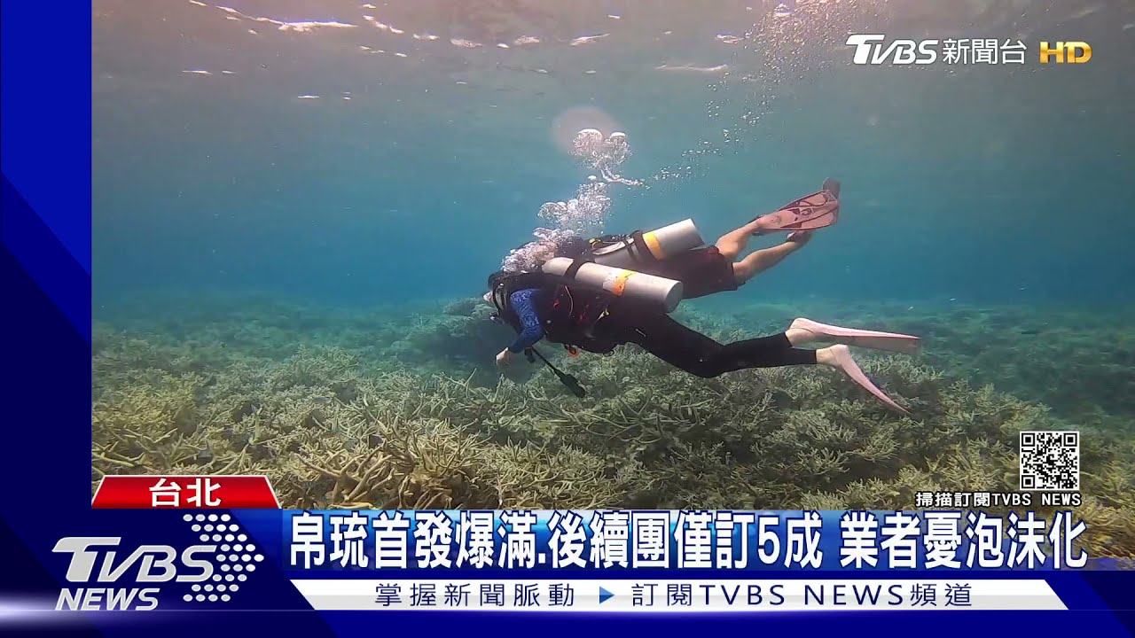 帛琉首發團爆滿、後續團僅訂5成 業者憂泡沫化
