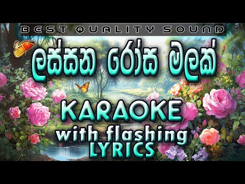 Lassana Rosa Malak Karaoke with Lyrics (Without Voice)