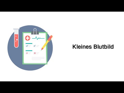 Kleines Blutbild - Laborwerte