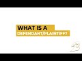 What is a defendant and plaintiff?