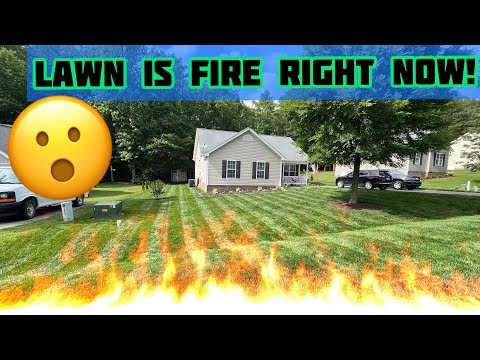 God brought the rain. I brought the FIRE!!! 🔥🔥🔥