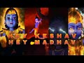 Hey Keshava Hey Madhav ️ Shri Krishna Status Sanatan Dharma Video