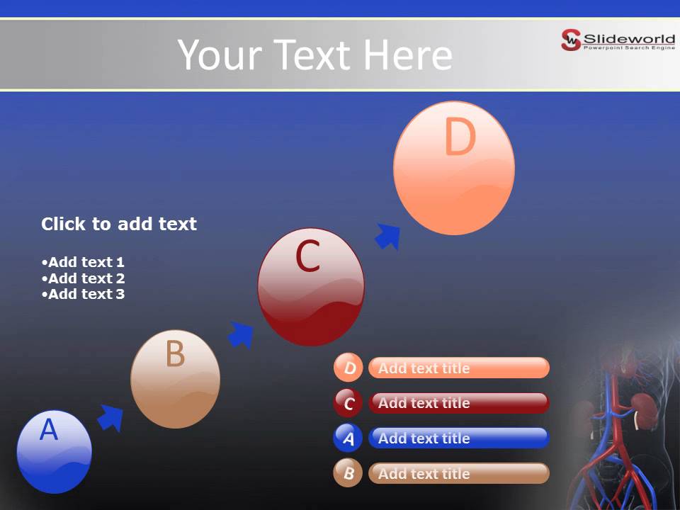 Cardiovascular System Facts PowerPoint Templates