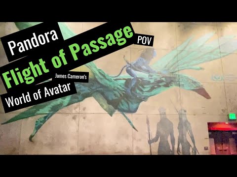 Flight of Passage (POV Full Ride @60fps and Entrance Queue) | Walt Disney World | Animal Kingdom