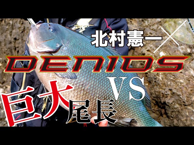がま磯 デニオス | がまかつ がま磯 デニオス | がまかつ