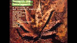 Dub Syndicate - Research and Development - D.J. Scruff  Mafia.wmv