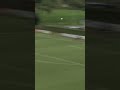 Close one! ???