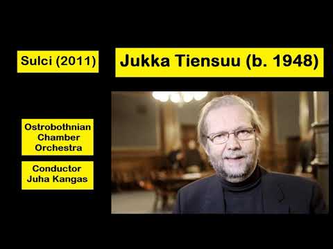 Jukka Tiensuu (b. 1948) - Sulci (2011)