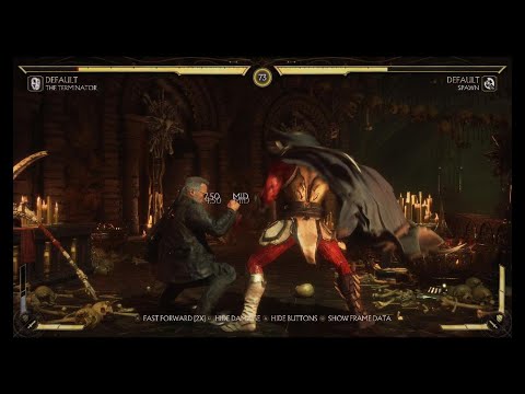 MK11  Spawn Vs Terminator (Brutality)