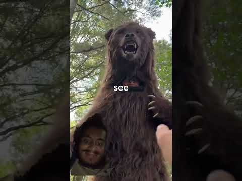 #animals #funny #canyouspotit #challenge #zoo #wildlife #comedyfilms #comedy #comedymovies #surajrox